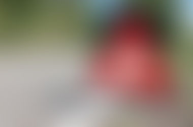 Watch out for the warning signs of a shady business deal