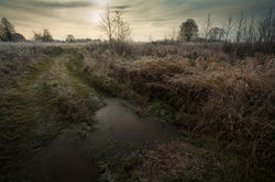 Первые заморозки