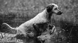 По весенней воде