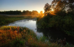 Солнечный туман.