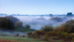 Летнее утро.