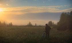 Утро охоты с английским сеттером.