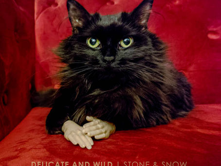 Stone & Snow – Delicate and Wild