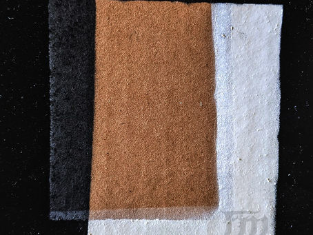 A New Interview With Father Moon