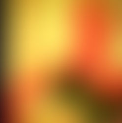 Ryan Kotler Releases "Untitled/Nameless (Ramona)"