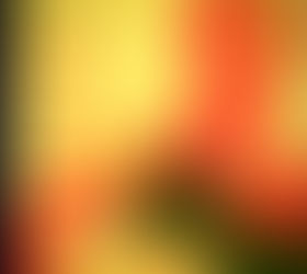Ryan Kotler Releases "Untitled/Nameless (Ramona)"