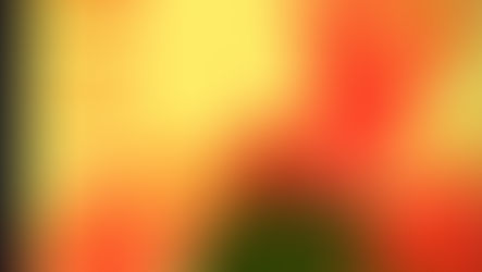 Ryan Kotler Releases "Untitled/Nameless (Ramona)"
