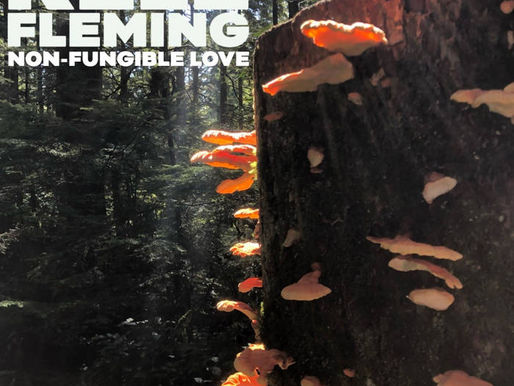 Kele Fleming Releases "Non-Fungible Love"