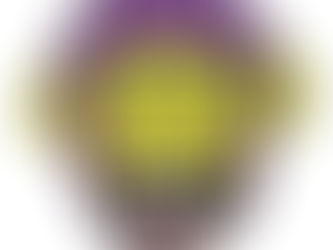 An Interview With Mums The Word