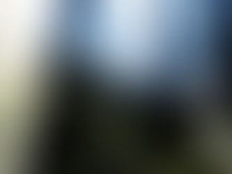 The Beautiful and honest music of megan brickwood