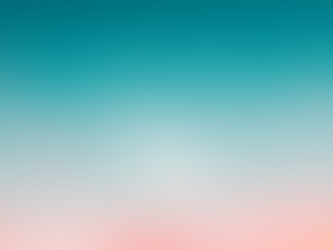 An Interview With Daniel And The Sparrows