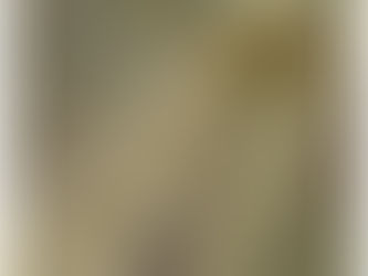 An Interview Emily Schultz