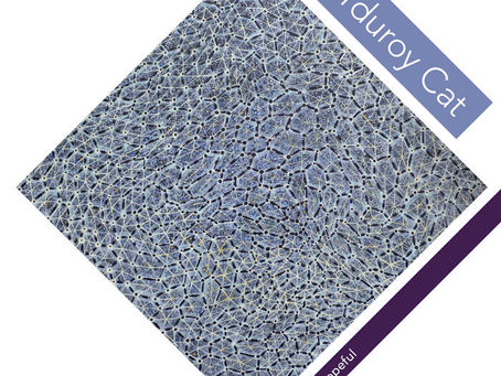 A New Release From Corduroy Cat