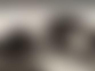 A STAR STUDDED LINE-UP COME TOGETHER TO RELEASE A BELTER BY THE VANITIES.