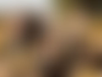 The Old Revival Returns With A Rock Anthem