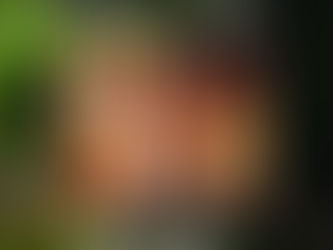 An Interview With Rusty Reid