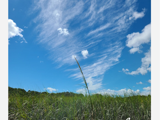 The Sparkle And Fade Rock With A Message