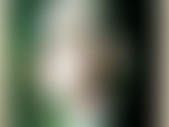 Joel Kraft Releases A Colorful Indie-Pop EP