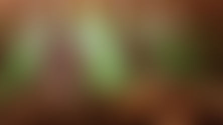 Madzilla LV Turn Tour Footage into “Ashes of Light”