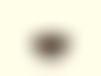 Carseat drops a new alt-acoustic record that comes off soothing and fresh