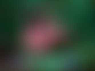 An Interview with Chelsea J