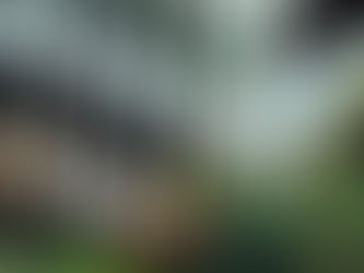 A Massive Rock Release From Los Shadows