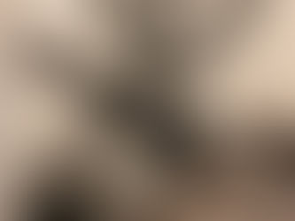 A Full-Length Album from Shane Larmand Is Here