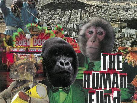 An Interview With The Human Fund