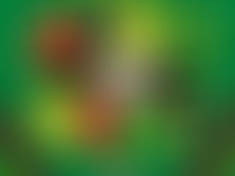 One Son Presents: Afro Heartbeat