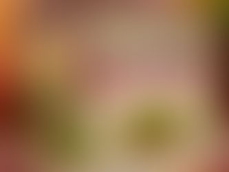 Will Leet Releases "Come Back Roses"