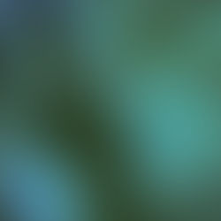 Bonnie Whiting and Eliza Brown Deliver A Percussive, Storytelling Record