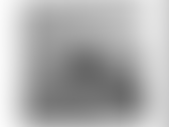 An Interview With Marc Willis