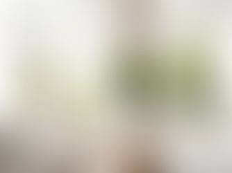 Living Room Design Ideas with Large Windows in New Haven