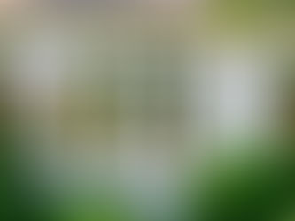 Benefits of Fiberglass Windows for Stamford Homes