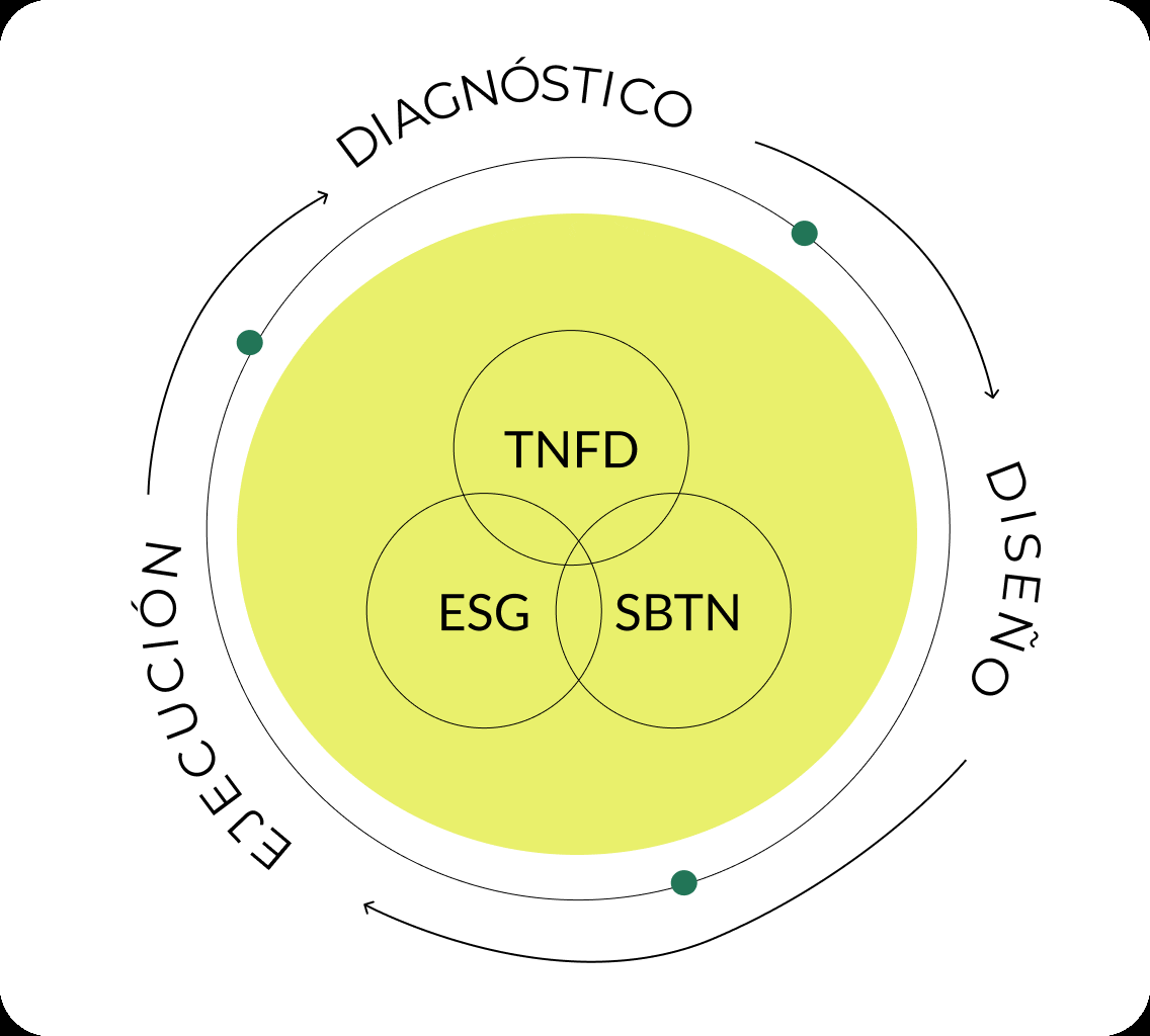Work methodology approach