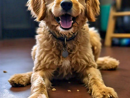 The Ultimate Guide to Dog Training: Teaching Your Furry Friend New Tricks