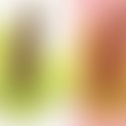 Corporate Gifting Experts