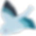 鳥