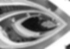 cam1bw-DeNoiseAI-standardweb.jpg