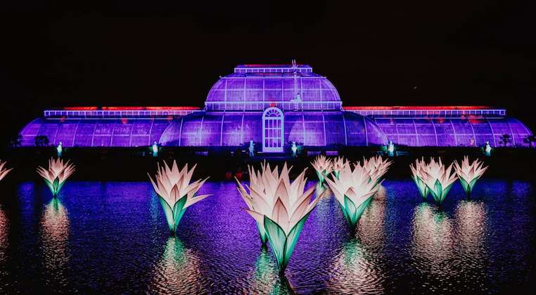 OntdekLonden_christmas at kew.png