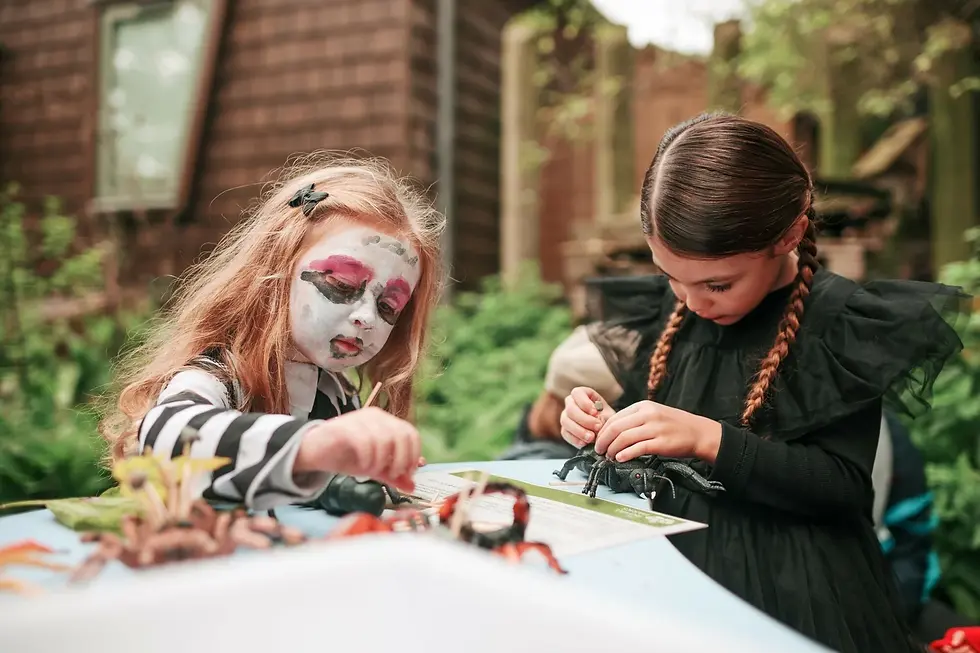 Hyde Park_halloween_discovery days.jpg.webp