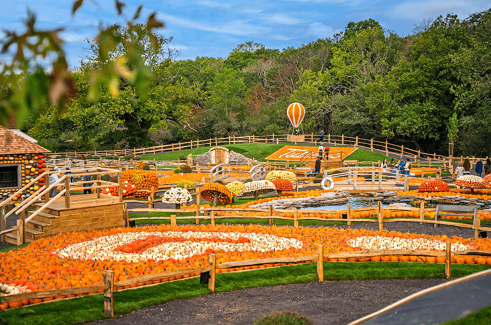 tulleys pumpkin patch_ontdeklonden.png