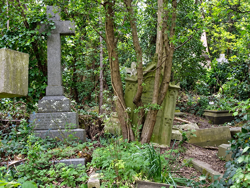 highgate cemetry_ontdeklonden.png