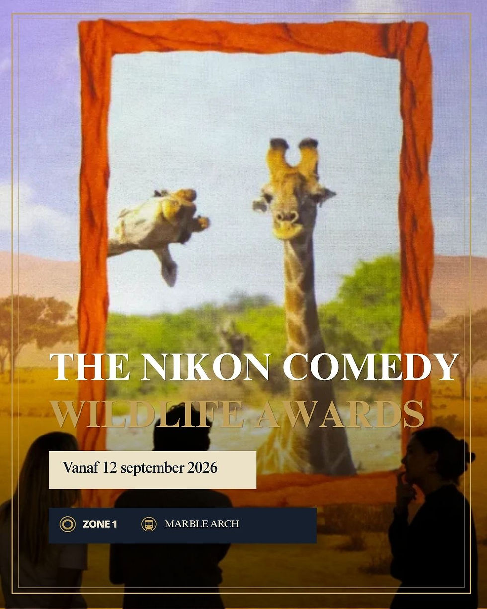 Poster met twee giraffen in safari, drie silhouetten vooraan en tekst: THE NIKON COMEDY WILDLIFE AWARDS, vanaf 12 september 2026
