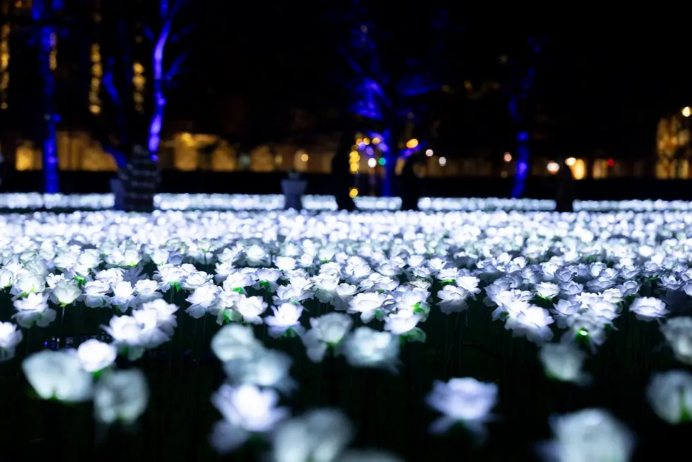 ever after garden_ontdeklonden_christmas.webp