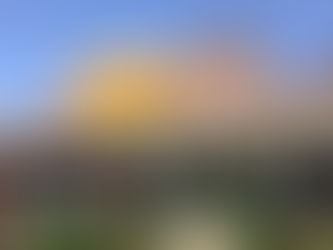 Veterans Day Discounts and Freebies for 2023