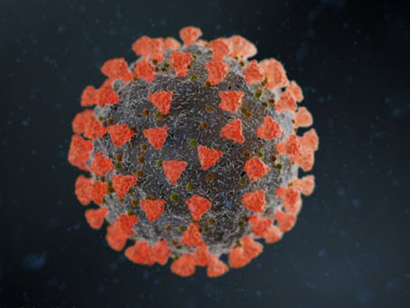 Only 6 of 194 Coronavirus-Recorded Deaths Are 'Pure' Coronavirus Deaths, Says San Diego Supervisor