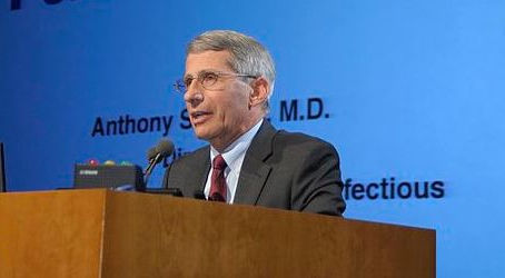 A New Revelation About Fauci and the Lab Leak Theory Sure Smells Like a Cover-Up