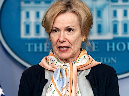 Dr. Deborah Birx admits she deceived Trump to push COVID measures