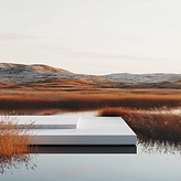 iuliaarm_minimalist_white_platform_in_a_serene_wetland_reflecti_d6dea09c-2da9-4d74-a39b-b6